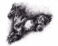 HORSE 8